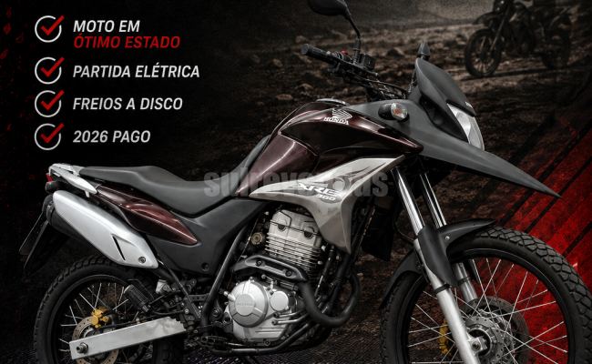HONDA XRE 300/ 300 ABS/ FLEX