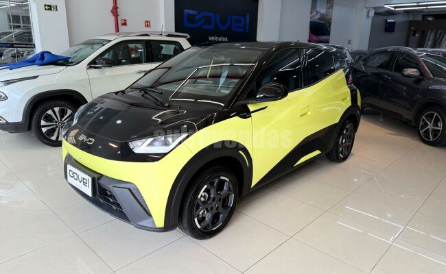 BYD dolphin mini gs 38kw
