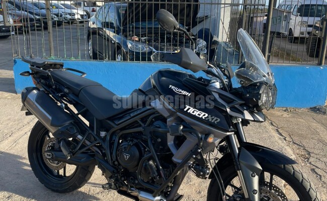 Triumph TIGER