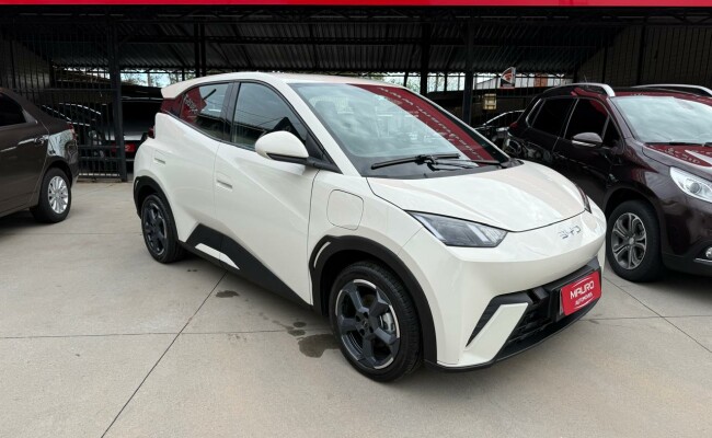 BYD DOLPHIN 2025